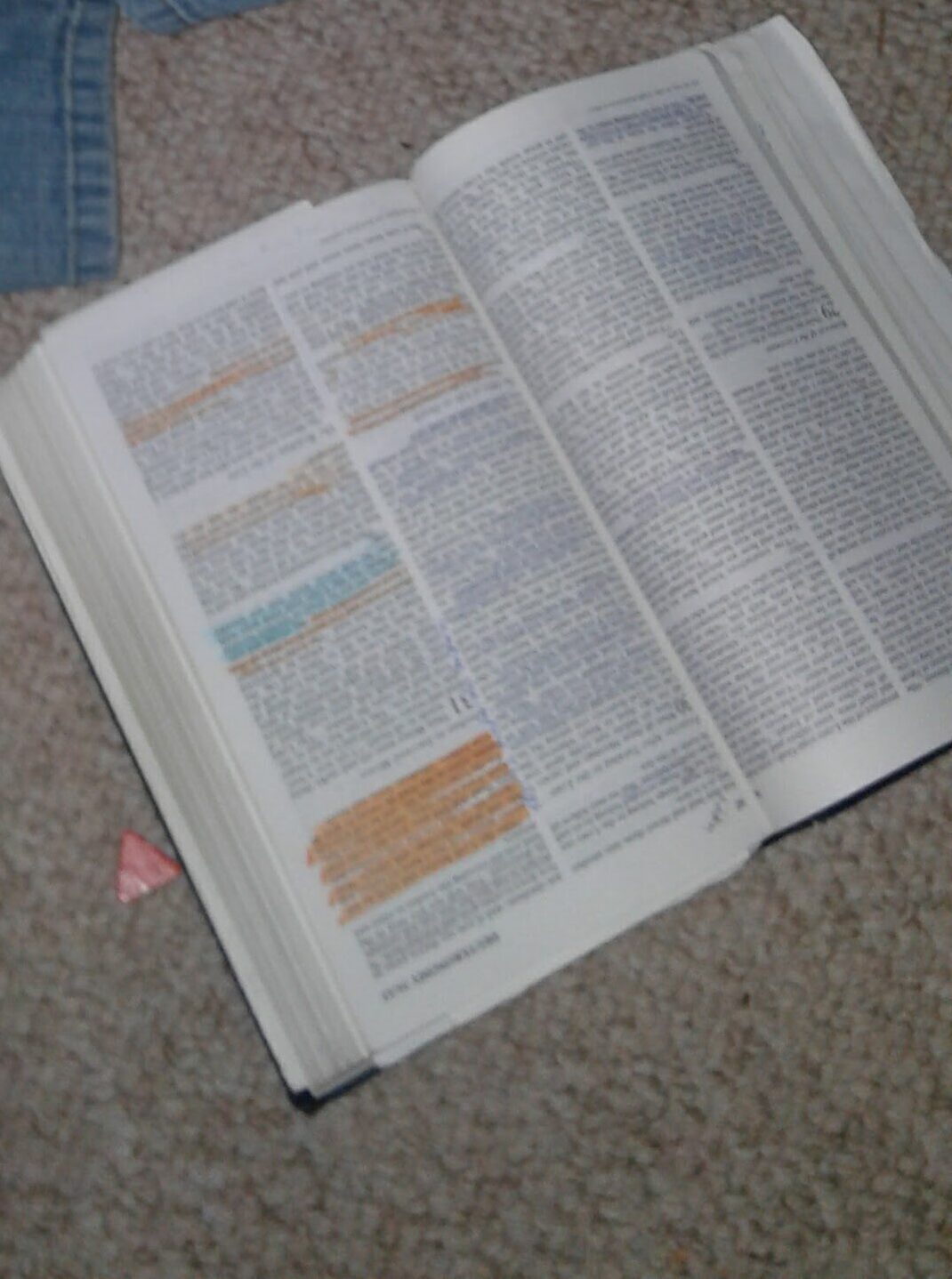 Open Bible